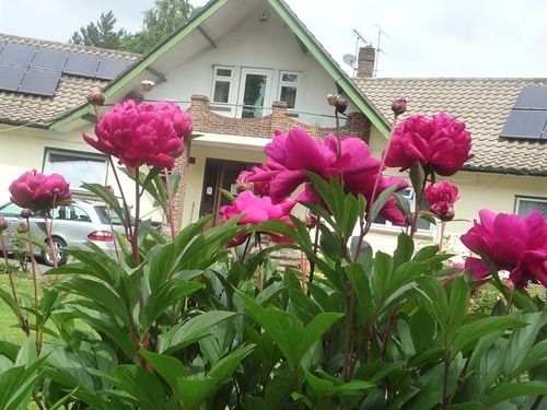 Linchens Bed And Breakfast 菲尔布里奇 外观 照片